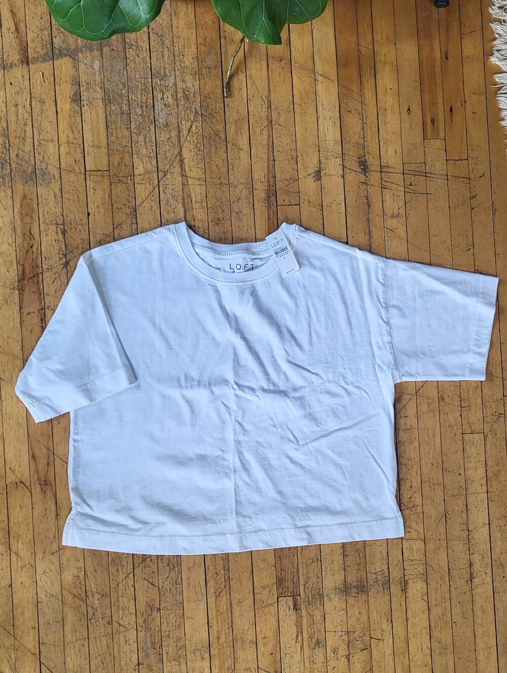 LOFT Women's White Short Sleeve Cropped Crewneck Tee NWT Sz S